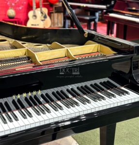 Bàn phím đàn piano Yamaha C5E