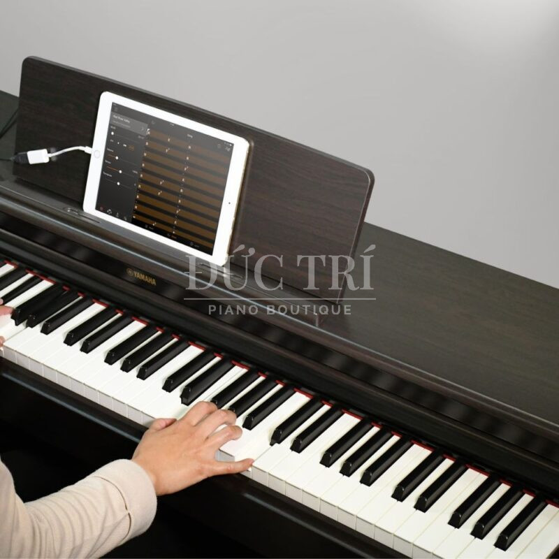 Đa dạng chế độ học tập trên Yamaha YDP-164