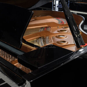 Khung kim loại Yamaha C1X