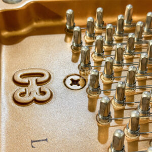 Số seri đàn piano Yamaha C3L