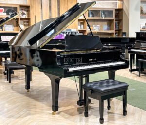 Yamaha C5E Giá tốt