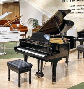 Yamaha C5E đã qua sử dụng