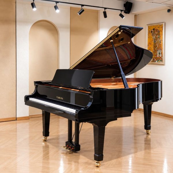 Yamaha C6X