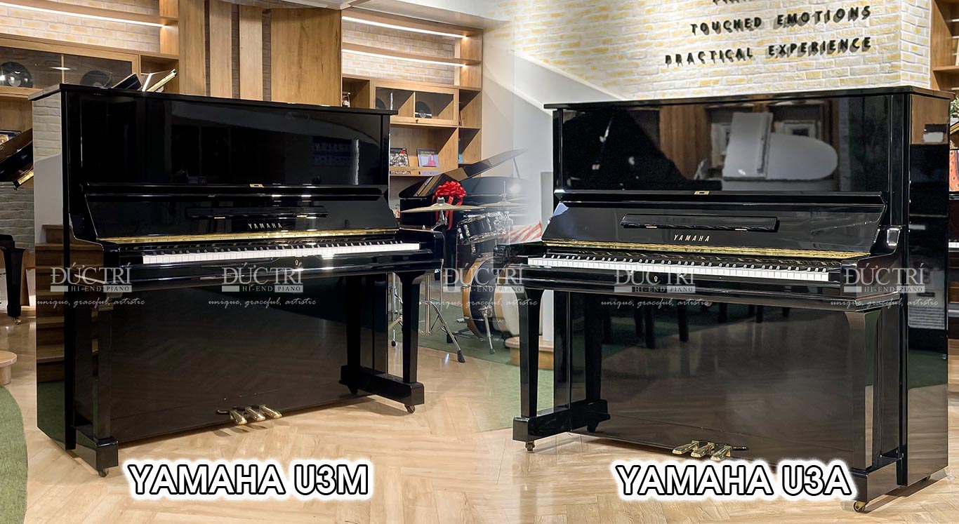 so sánh yamaha u3m và u3a