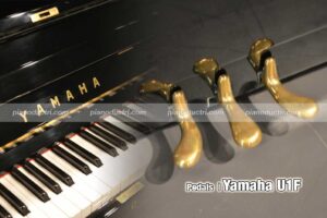 Banner Yamaha U1F