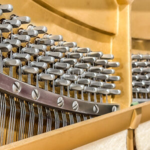 Chốt Pin Yamaha Ux