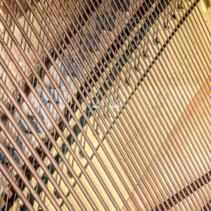 Dây Đàn Yamaha Ux