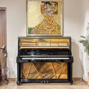 Khung Gang x Máy Đàn Yamaha Ux