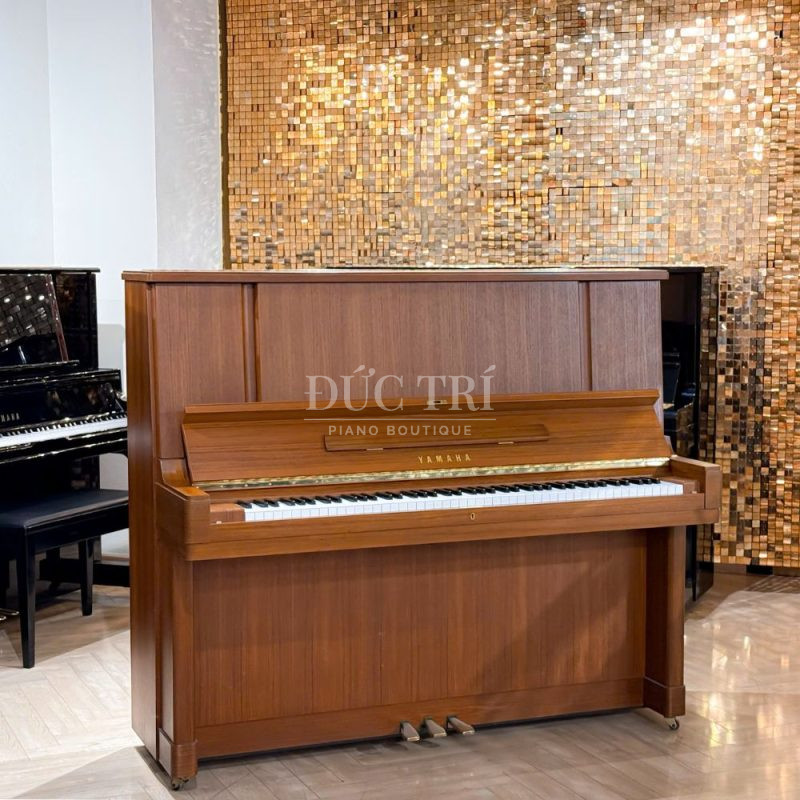 Màu sắc trên đàn Yamaha W107BT