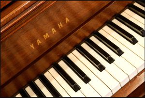 PHIM-DAN-YAMAHA-M214-piano-duc-tri-music-600x600