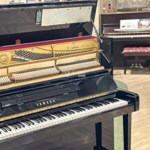 Số seri đàn Yamaha SX101Rbl