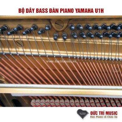 bo-day-dan-piano-yamaha-U1h-pianoductrimusic