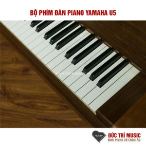 bo-phim-dan-piano-yamaha-u5