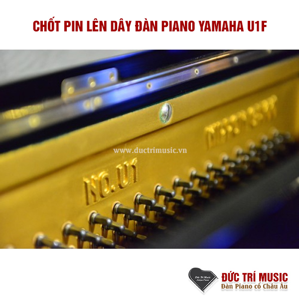chot-pin-len-day-dan-piano-yamaha-u1f-pianoductrimusic