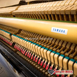 dan-piano-yamaha-sx-100rbl-action-may-dan-cao-cap