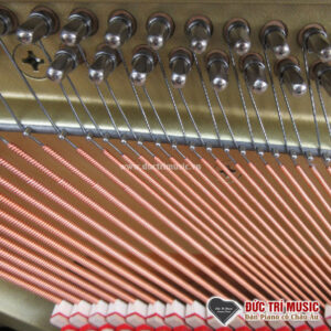 day-bass-dan-piano-yamaha-yu10-piano-duc-tri-music