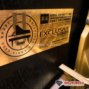 team-kiem-dinh-nhap-khau-tu-JUPA-yamaha-SX100rbl