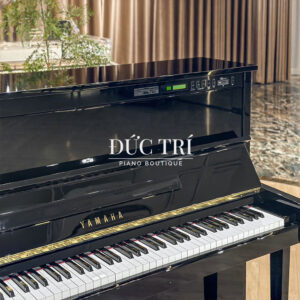 dan piano yamaha sx100rbl auto-player