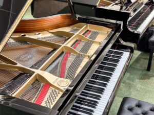 Bàn phím Yamaha C7