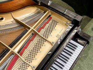 Số seri đàn piano Yamaha C7