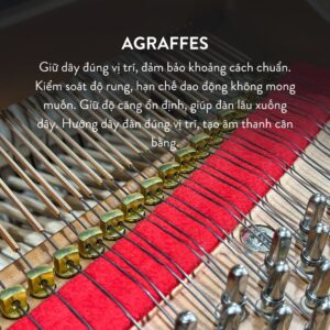 Đàn Grand Piano Yamaha C7X Cao Cấp tại Đức Trí Music