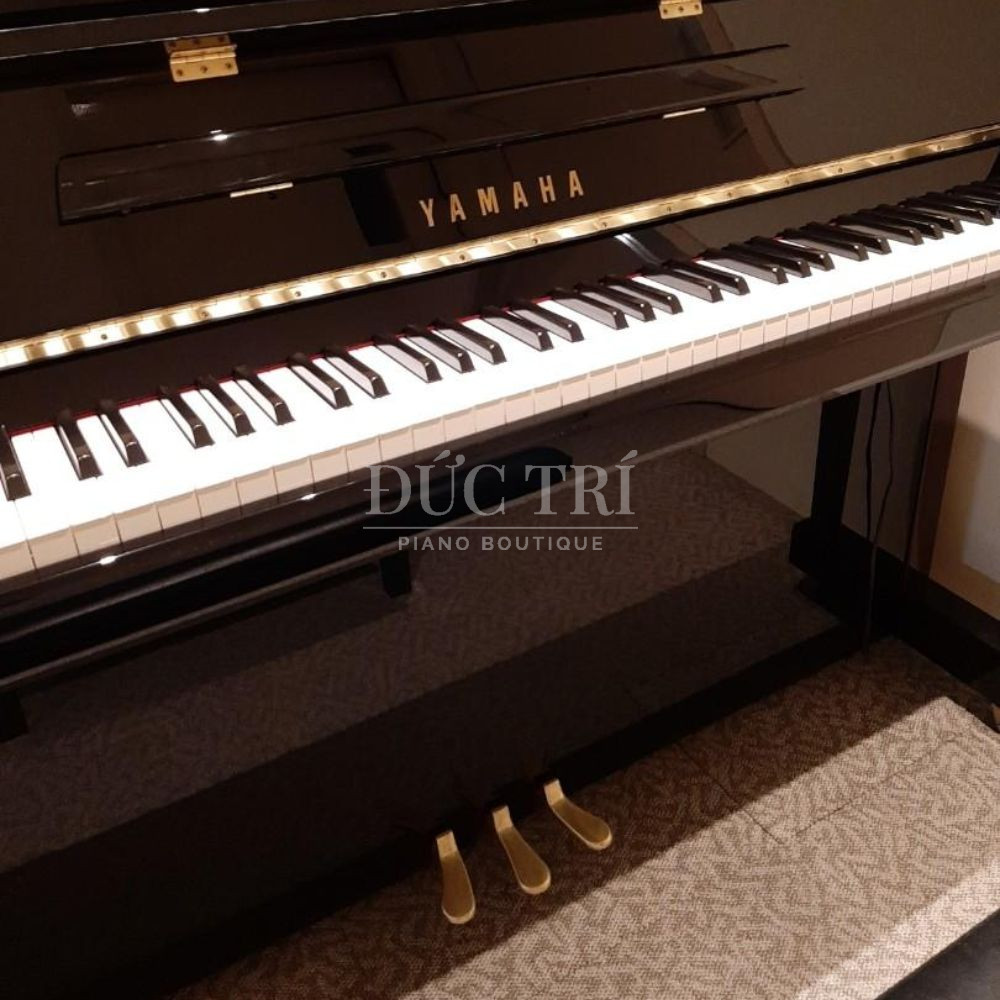 Ban phim va Pedal cua Yamaha JX113 Yamaha JX113 Bàn phím và Pedal của Yamaha JX113