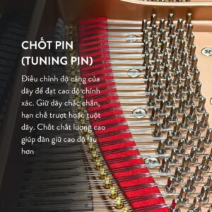 Đàn Grand Piano Yamaha C7X Cao Cấp tại Đức Trí Music