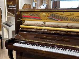 Chốt pin Đàn Piano Wagner W3 bảo hành 5 năm