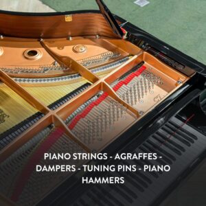 Đàn Grand Piano Yamaha C7X Cao Cấp tại Đức Trí Music