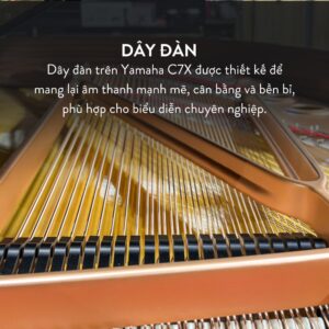 Đàn Grand Piano Yamaha C7X Cao Cấp tại Đức Trí Music