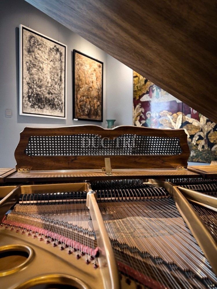 Day dan tren dan Kimball Art Case Kimball Art Case Dây đàn trên đàn Kimball Art Case