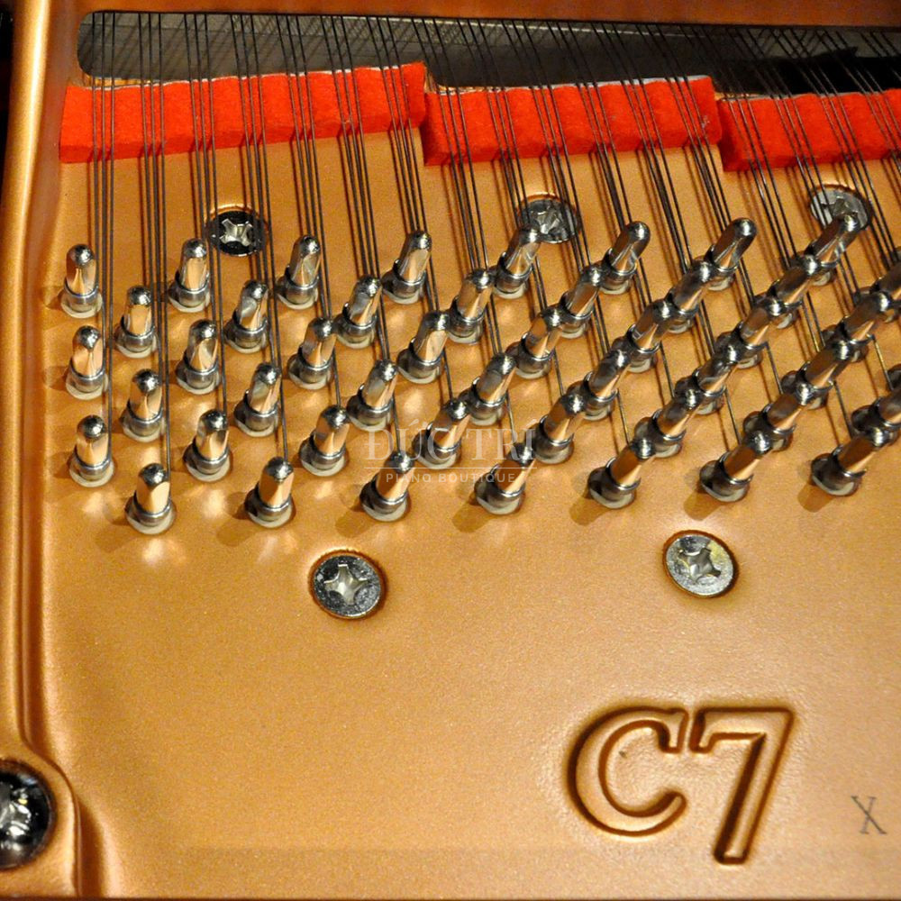 Ma dan C7X tren Yamaha C7X yamaha c7x Mã đàn C7X trên Yamaha C7X