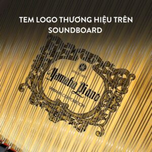 Đàn Grand Piano Yamaha C7X Cao Cấp tại Đức Trí Music