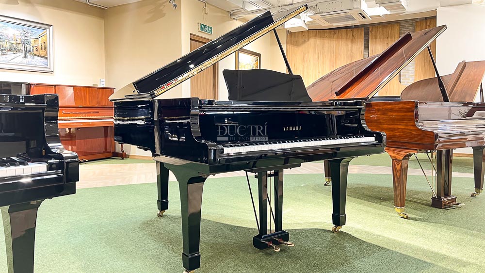 Yamaha G2E seri cao Yamaha G2E Yamaha G2E seri cao