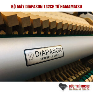 bộ action của diapason 132ce