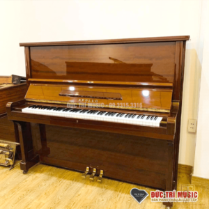 Đàn piano Apollo A360 Walnut