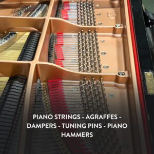 Đàn Grand Piano Yamaha C7X Cao Cấp tại Đức Trí Music