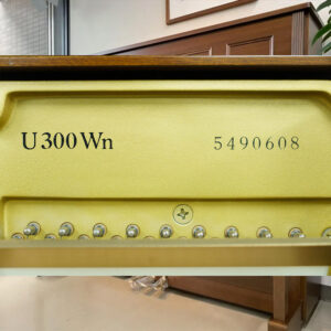 Vị trí số seri đàn piano Yamaha Upright