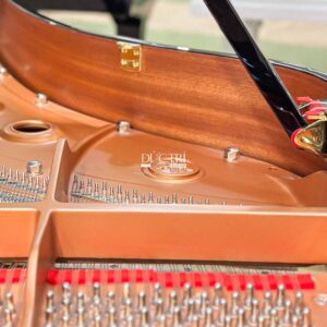 VÀNH ĐÀN YAMAHA C3X