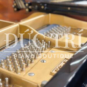 Chốt pin Đàn Grand Piano Kawai KG5C