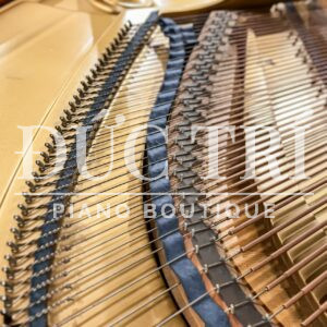 Dây Đàn Grand Piano Kawai KG5C