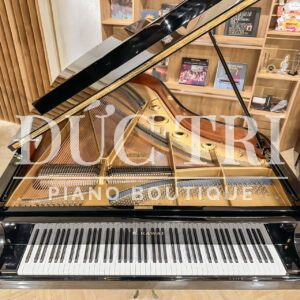 Lồng Đàn Grand Piano Kawai KG5C