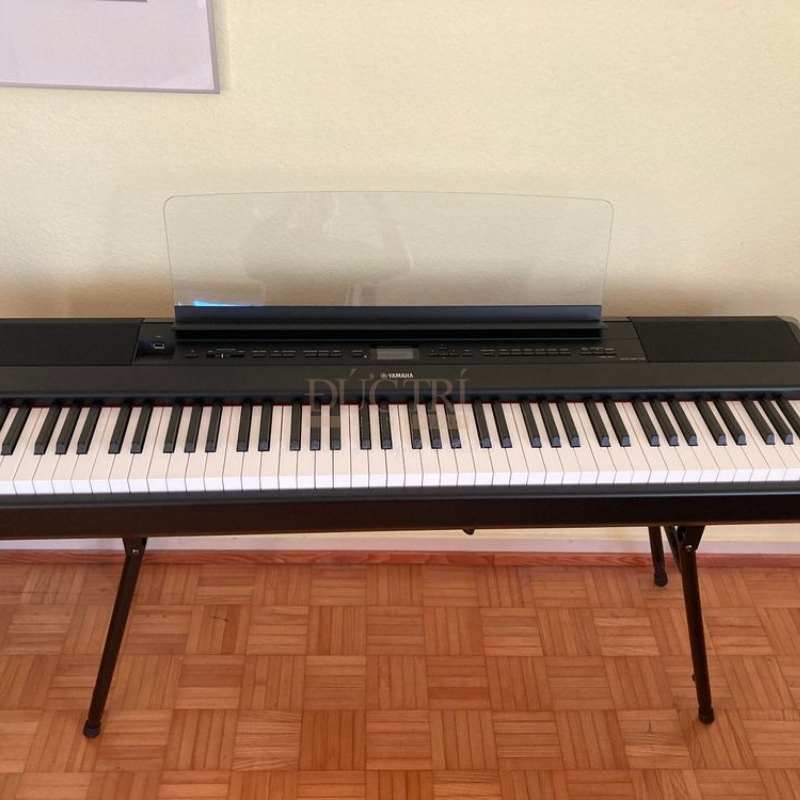 Yamaha P-515 được bàn giao và trưng bày tại nhà của khách hàng