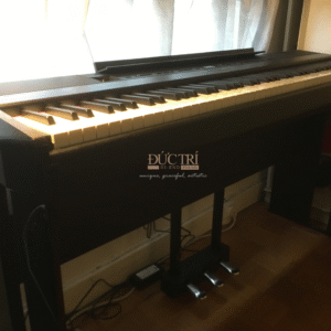 Yamaha P-515 nhìn tổng quát