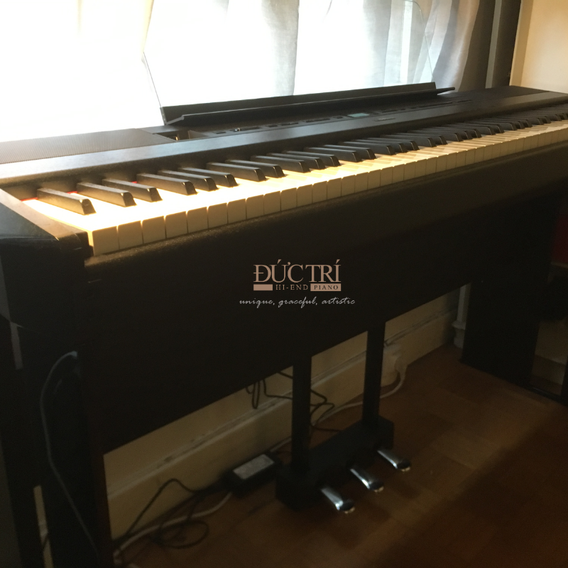 Yamaha P-515 nhìn tổng quát