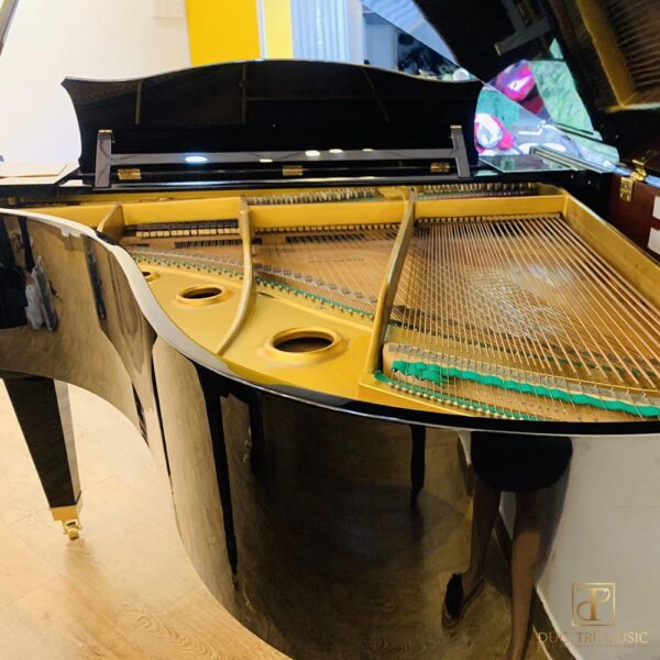 Đàn Piano Diapason M170 - Bộ dây đàn