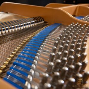 Đàn Piano Kawai KG5C - Các chốt pin khóa dây