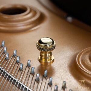 Đàn Piano Kawai KG5C - Chốt xoay bảng âm