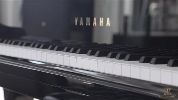 Đàn Piano Yamaha DGB1K - Bộ phím đàn