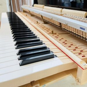 Đàn Piano Yamaha GB1K - Từng phím đàn
